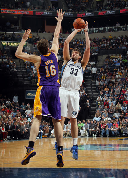 仅促进了市 仅促进了市